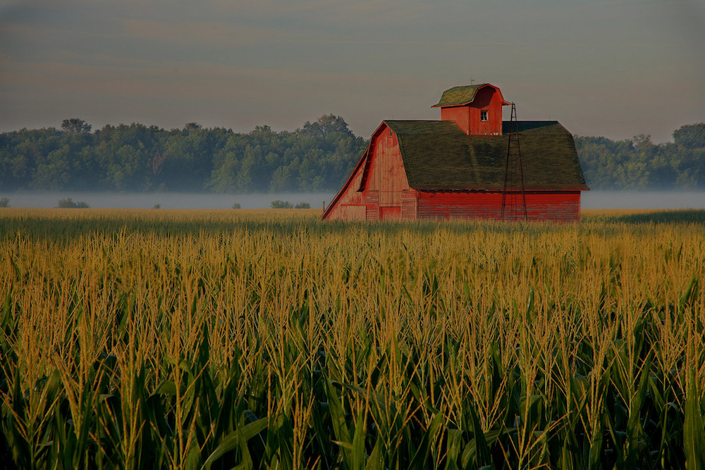 farm and crop insurance in Indianapolis or Martinsville STATE | Killion and Hall